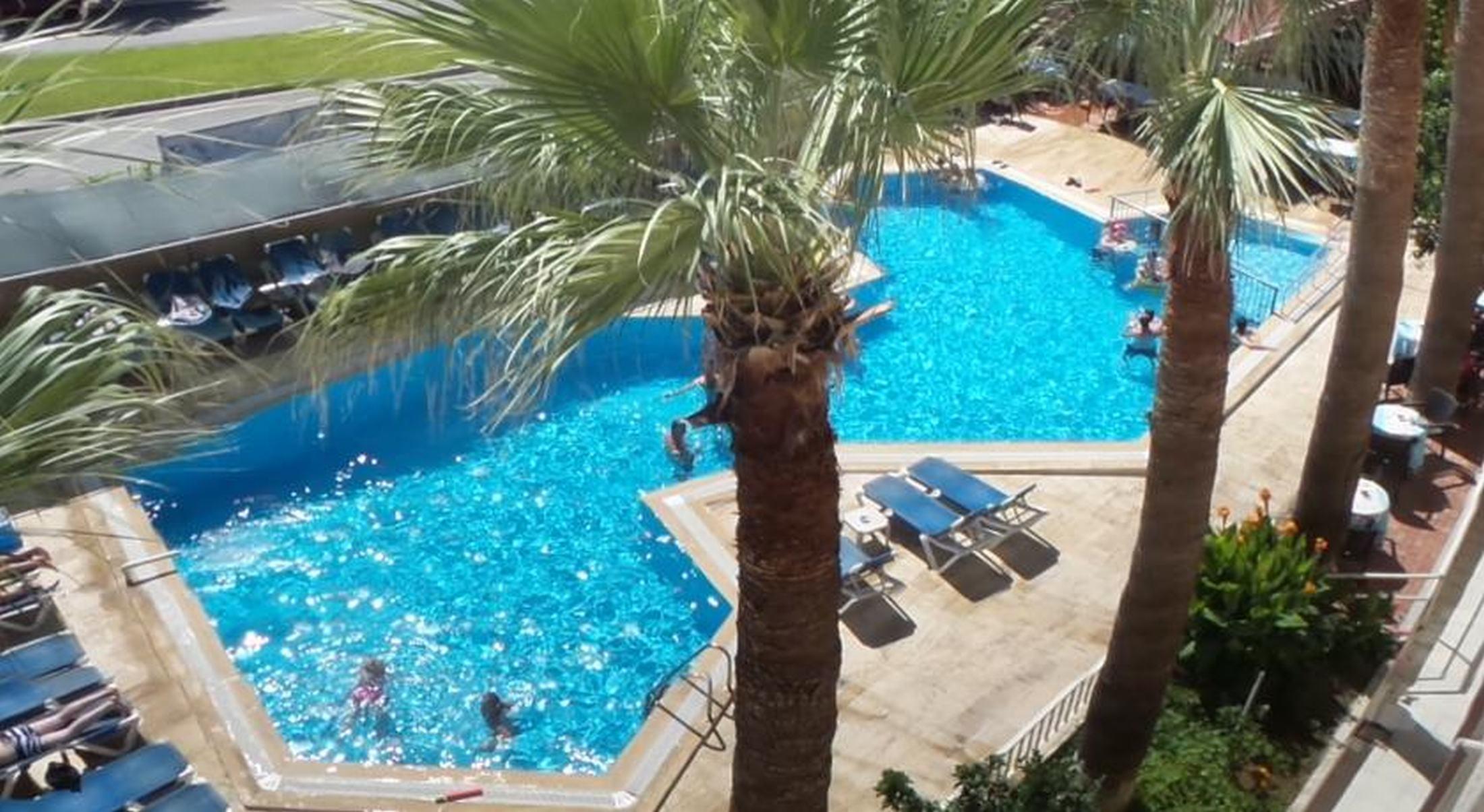 Palmiye 2*