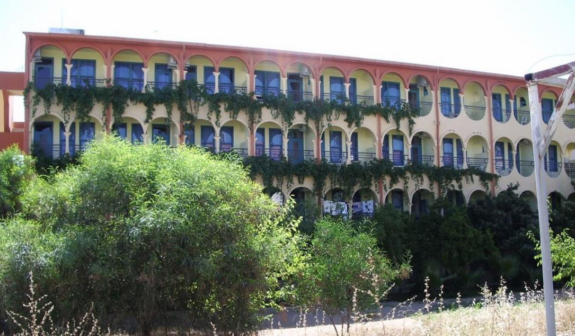 Palmiye